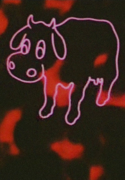 Neon Cow