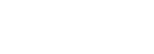 トラさん～僕が猫になったワケ～