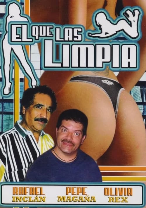 El que las limpia (1994) poster