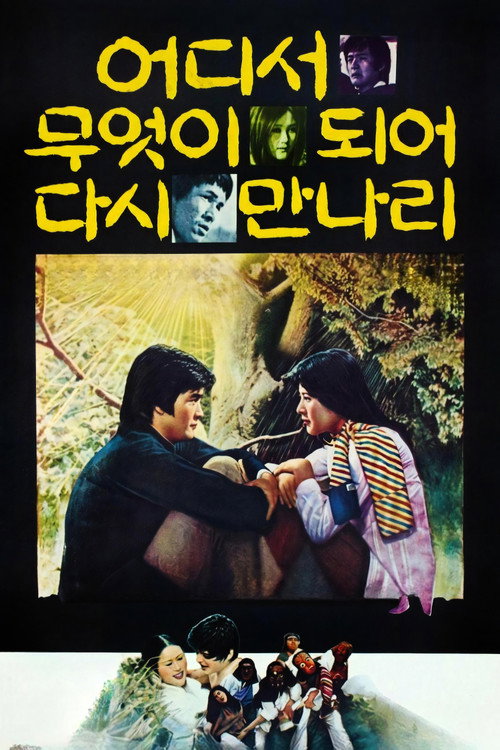 어디서 무엇이 되어 다시 만나리