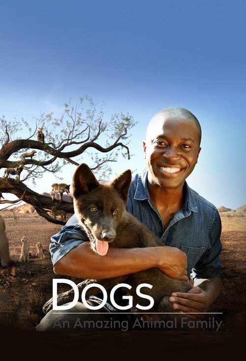 Poster Dogs: An Amazing Animal Family