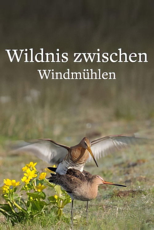 Wildlife in Windmill Country