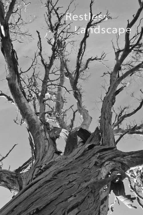 Restless Landscape