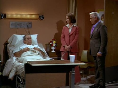 Poster della serie The Mary Tyler Moore Show