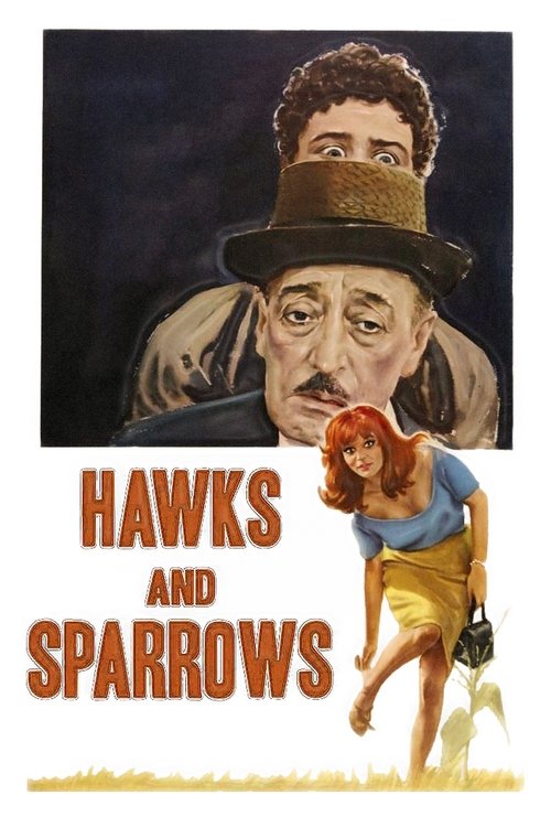 Grootschalige poster van Hawks and Sparrows