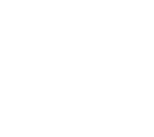 Little Fish