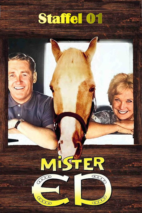 Staffel 1