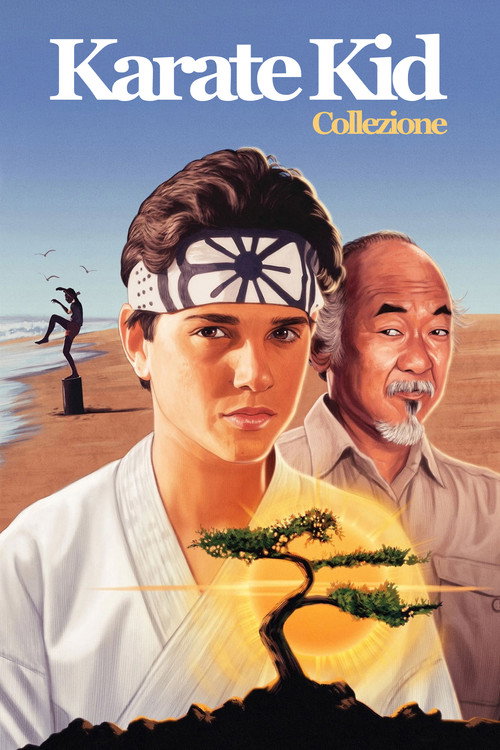 Karate Kid - Collezione