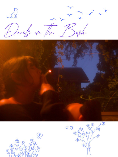 Devils in the Bush poster