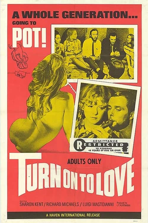 Turn On to Love Movie Poster Image