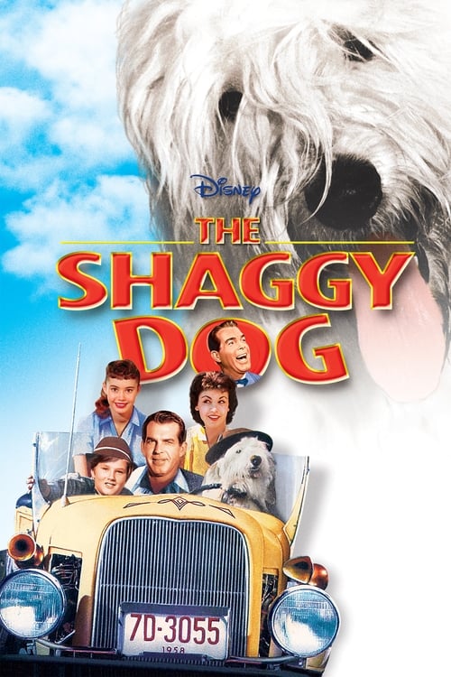 The Shaggy Dog poster