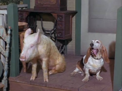 Green Acres, S03E03 - (1967)