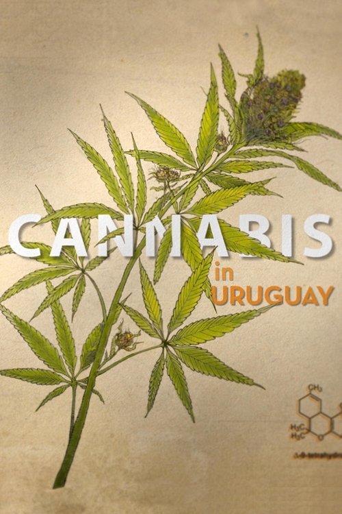 Cannabis in Uruguay poster