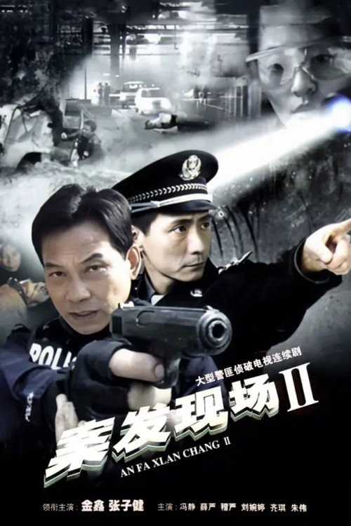 案发现场2 poster