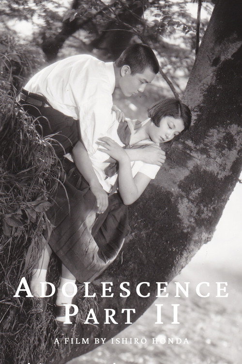 Adolescence Part II poster