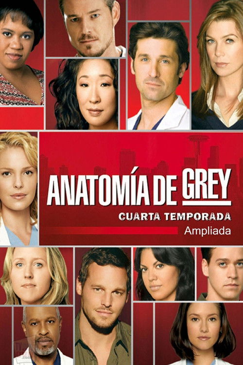 Póster de la temporada 4 de la serie Anatomía de Grey