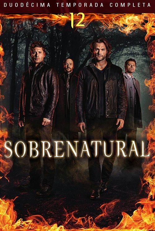 Ver temporada 12 de Sobrenatural Póster de la temporada 12 de la serie Sobrenatural