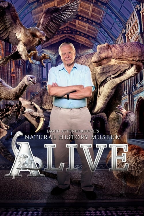 Regular opening times do not apply as we accompany Sir David Attenborough on an after-hours journey around London’s Natural History Museum, one of his favourite haunts.  The museum's various exhibits coming to life, including dinosaurs, reptiles and creatures from the ice age.  Shot by the same 3D team that worked on Gravity, examines how the animals and creatures at the London museum once roamed the earth.