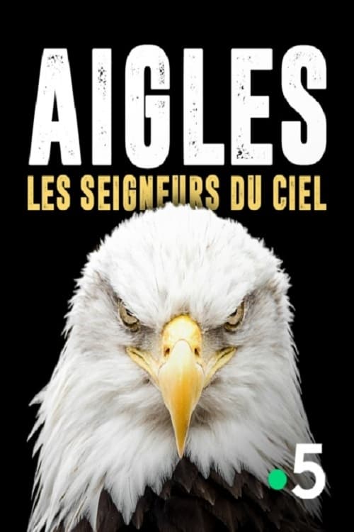 Aigles, les seigneurs du ciel 2014