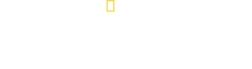 Les Secrets des manchots