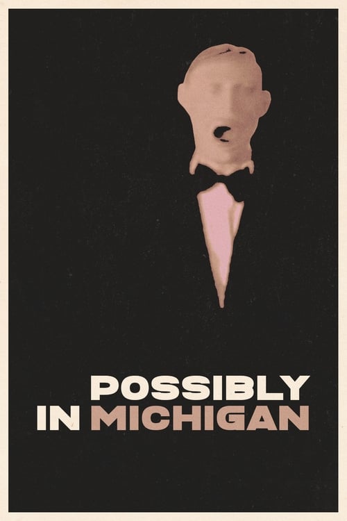 Possibly in Michigan (1983) poster