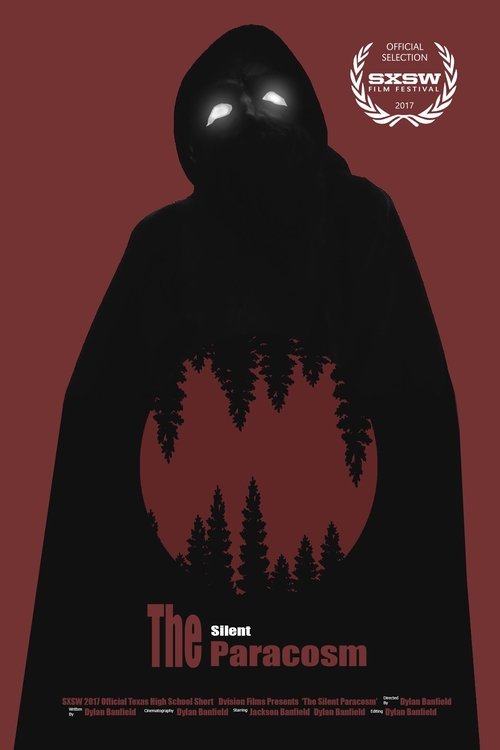 The Silent Paracosm movie poster player