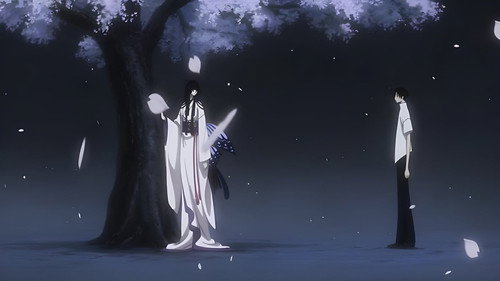 xxxHOLiC: Shunmuki - Kouhen Backdrop Blur