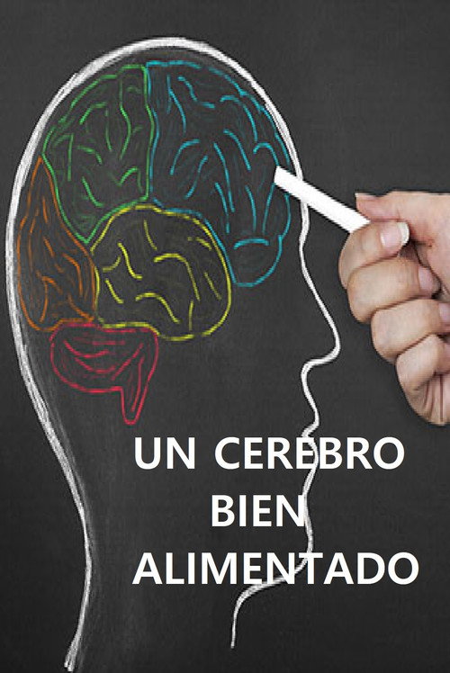 Un cerebro bien alimentado