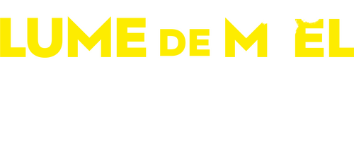 Lune de miel avec ma mère
