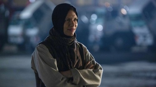 Homeland: 8×1