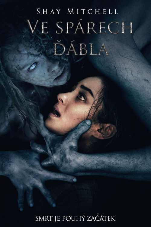 Plakát filmu VE SPÁRECH ĎÁBLA