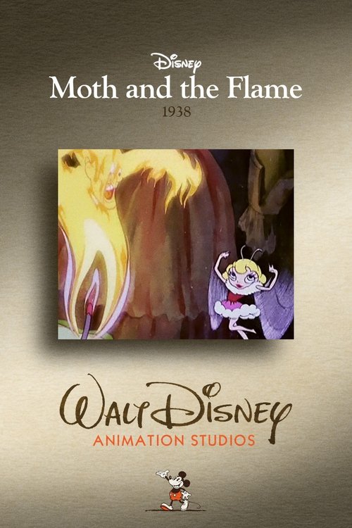 Moth and the Flame poster