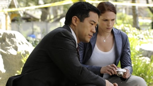 The Mentalist: 1×23