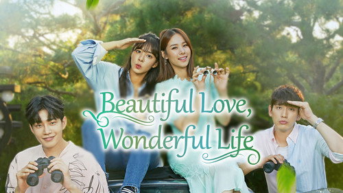 Beautiful Love, Wonderful Life