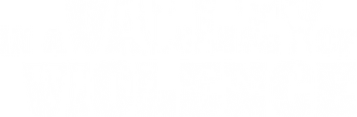 In a Valley of Violence