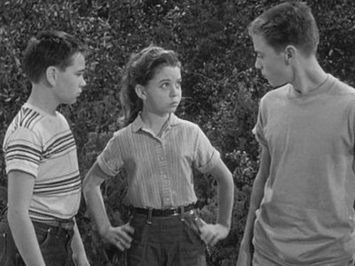 Escena del episodio 9 de la temporada 1 de la serie The Hardy Boys