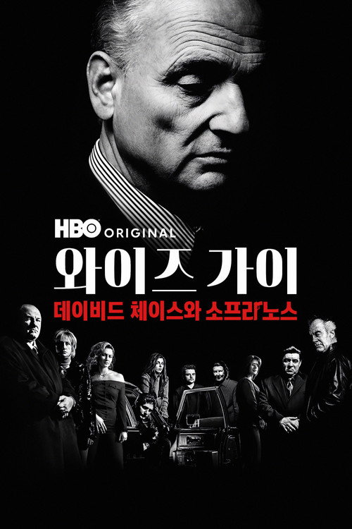 Wise Guy: David Chase and The Sopranos - related title