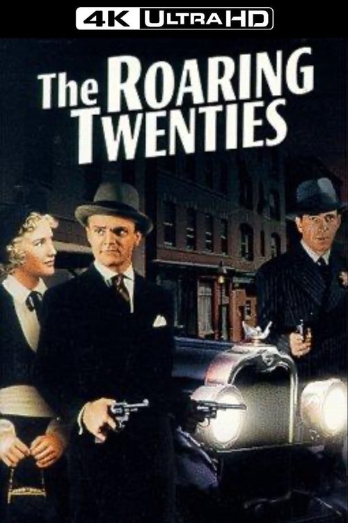 Poster 12