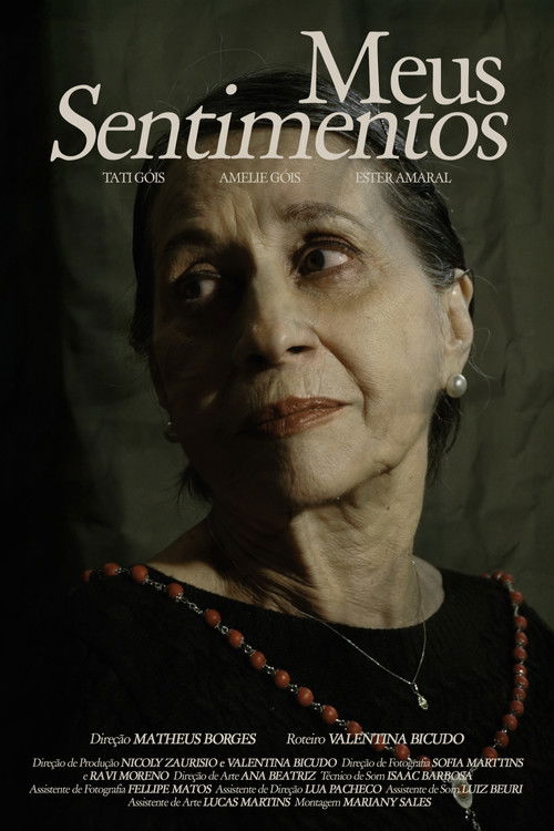 Meus Sentimentos poster