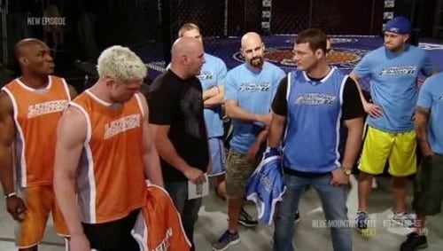 Poster della serie The Ultimate Fighter