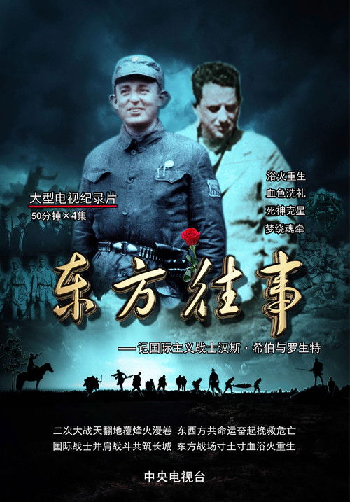 东方往事 (2014) poster