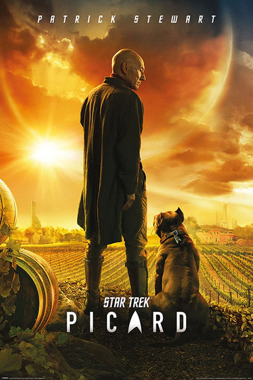 Star Trek: Picard poster