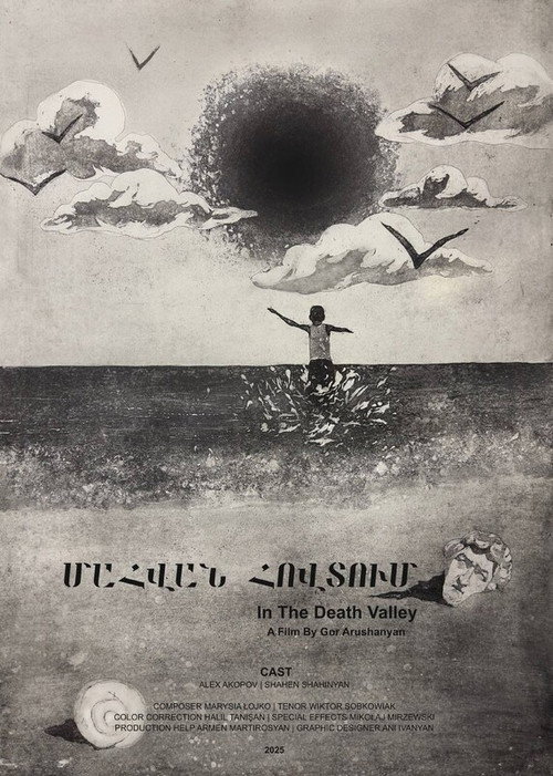 In The Death Valley poster