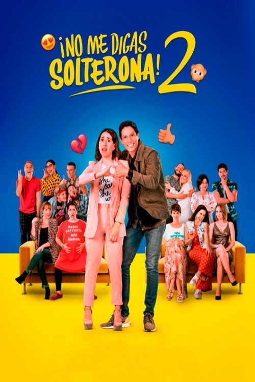 Don't Call Me Spinster 2 poster