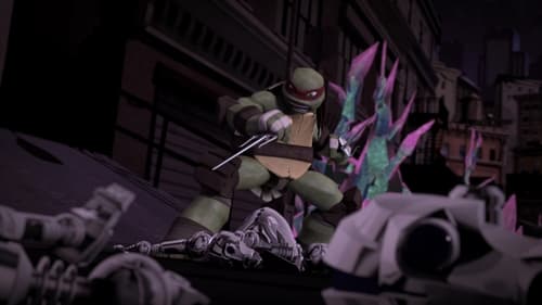 Poster della serie Teenage Mutant Ninja Turtles