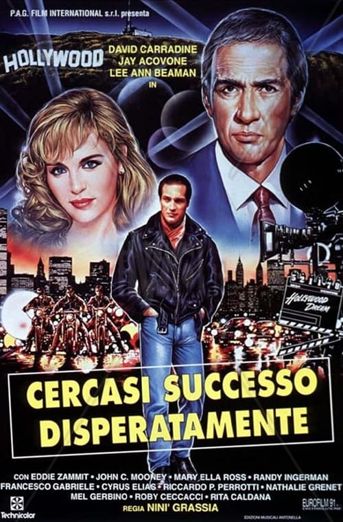 Poster do filme Desperately Looking For Success