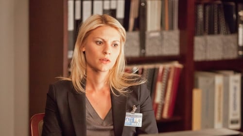 Homeland: 1×3