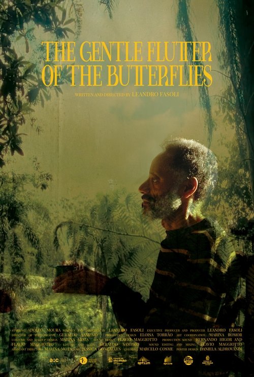 The Gentle Flutter of the Butterflies