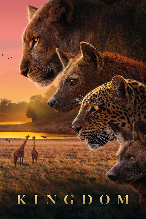 Kingdom poster