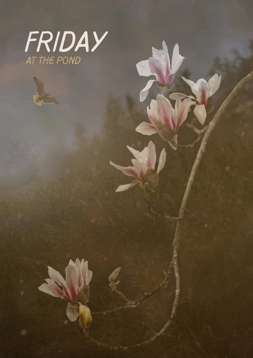 Friday At The Pond